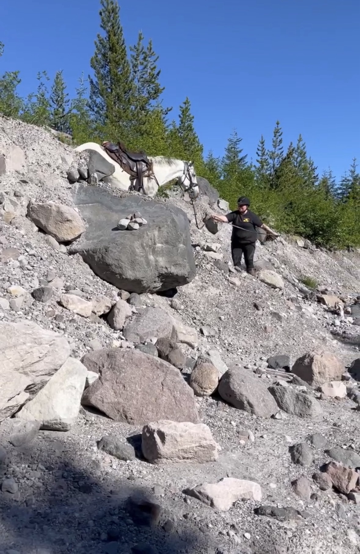 horse going down steep embankment 