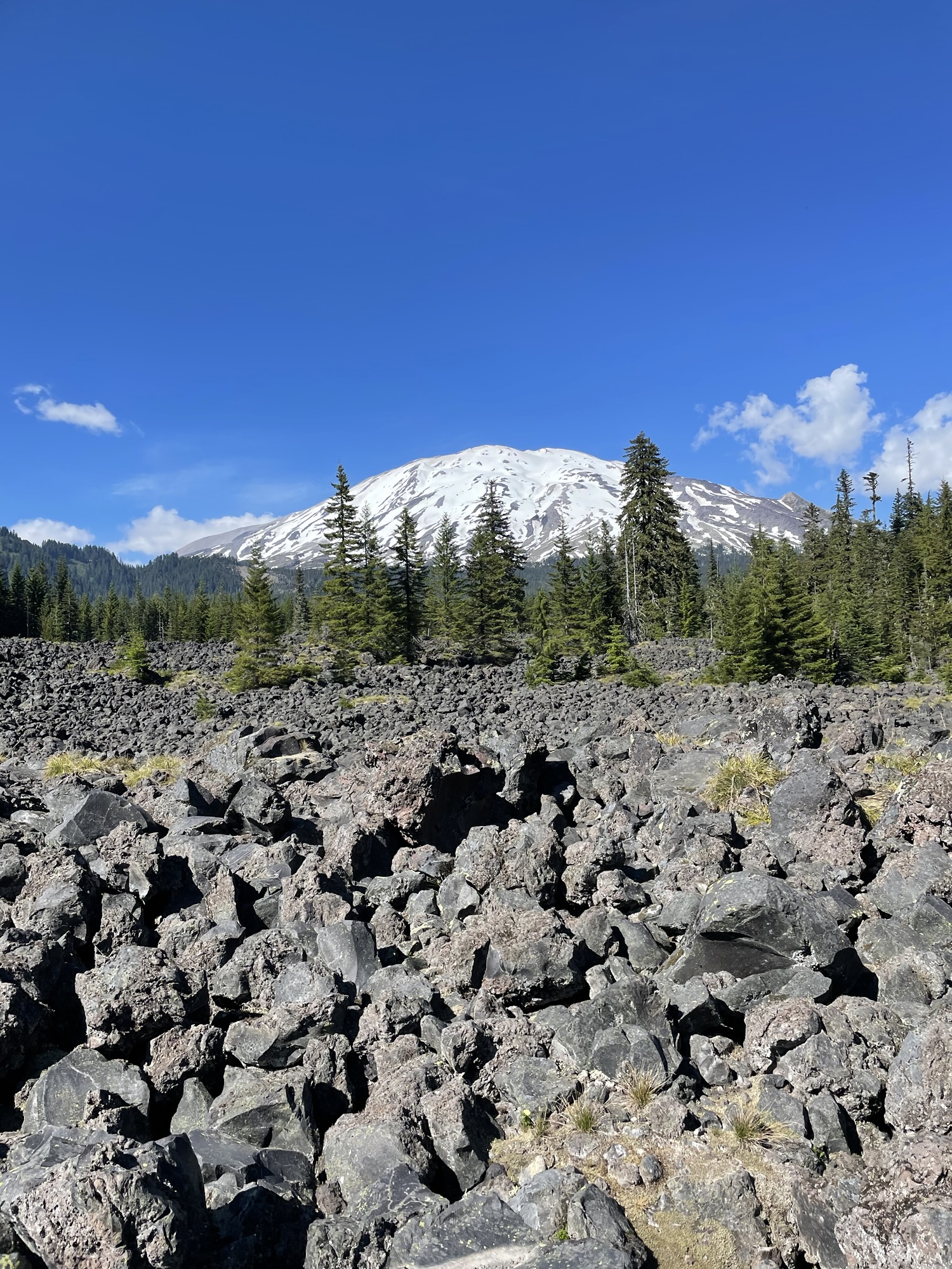 mount st helens with lava field