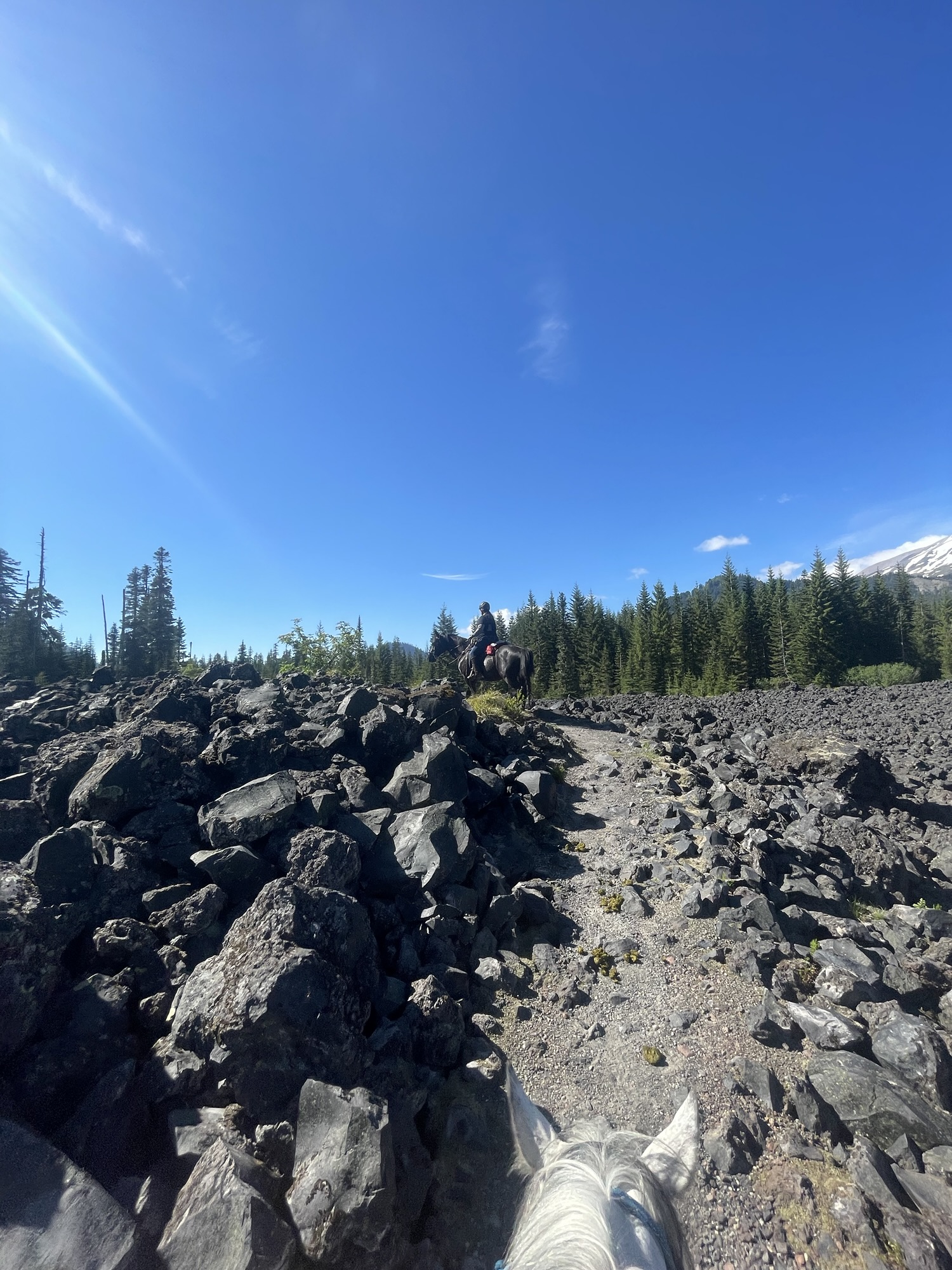 horse riding through lava field with mount st helens in the background