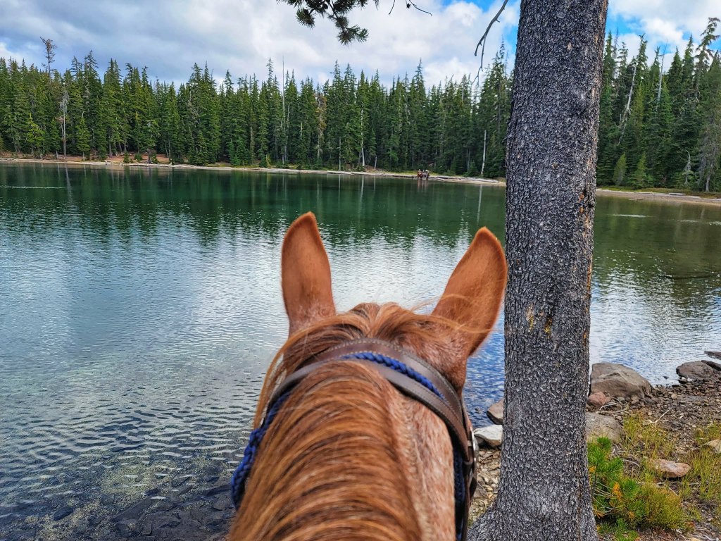 Kelsay Valley Horse Camp – Umpqua National Forest,&nbsp;Oregon