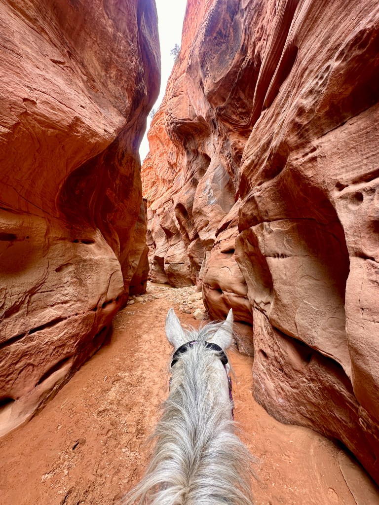 Upper Buckskin Gulch –  Paria Canyon Vermillion Cliffs Wilderness,&nbsp;Utah