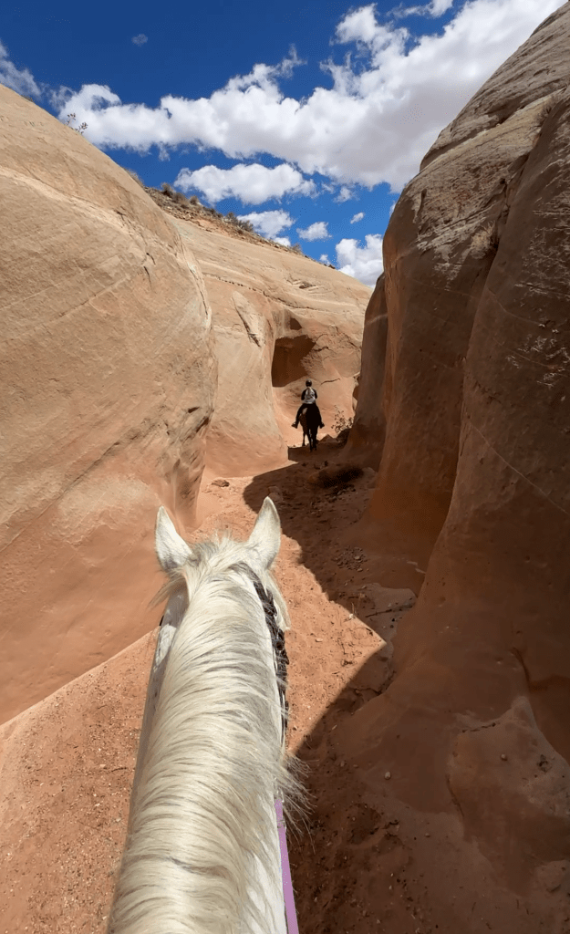 Copper Canyon –  Paria Canyon-Vermillion Cliffs Wilderness,&nbsp;Utah