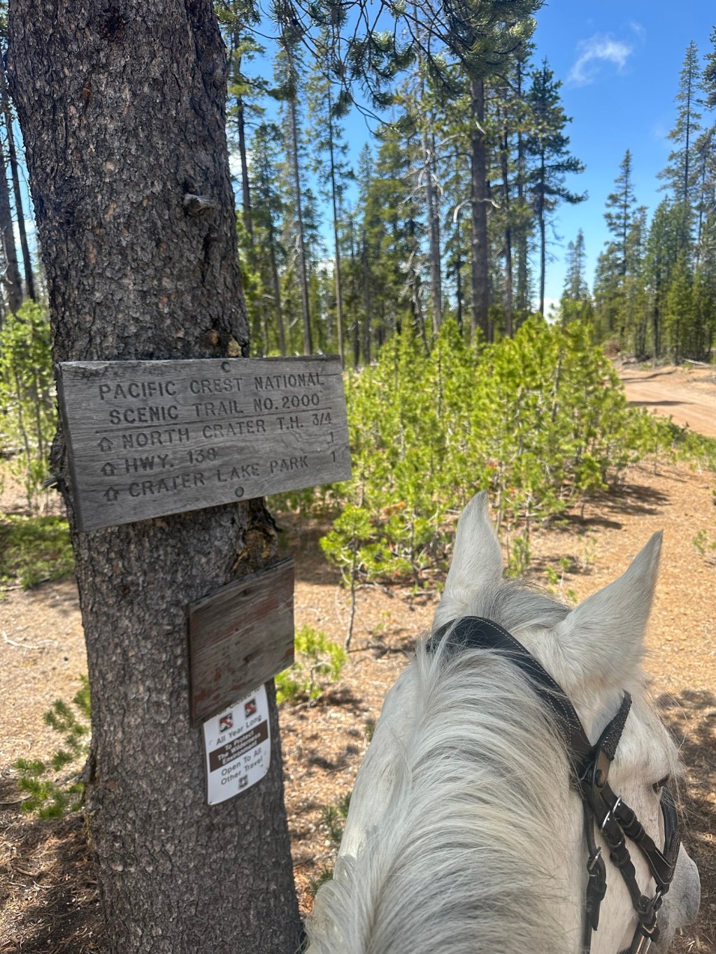 North Crater Lake Trailhead/Sno-Park – Umpqua National Forest, Oregon