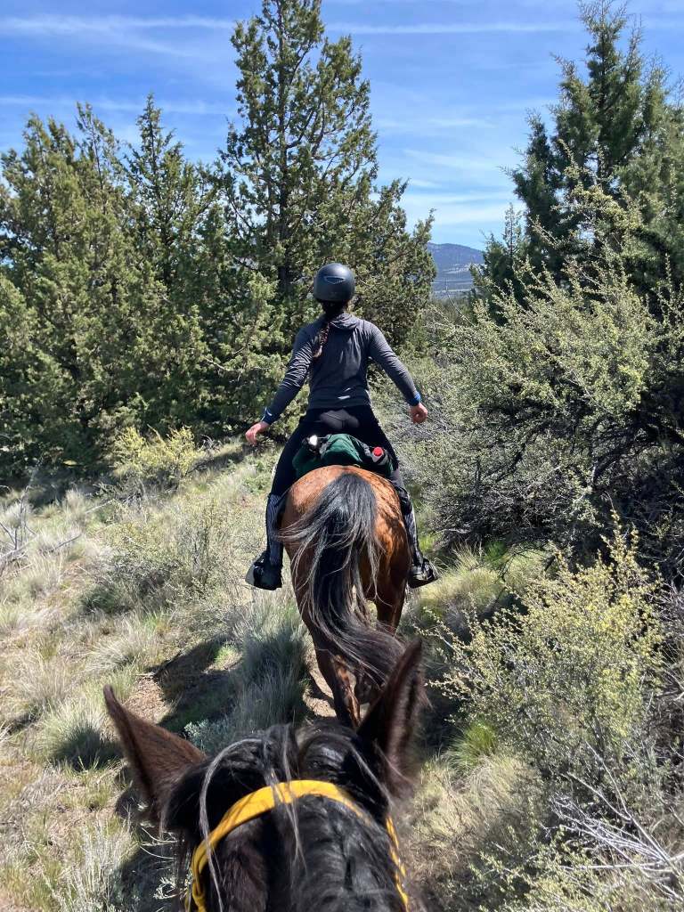 Grizzly Mountain Trail System – Crooked River National Grasslands,&nbsp;Oregon