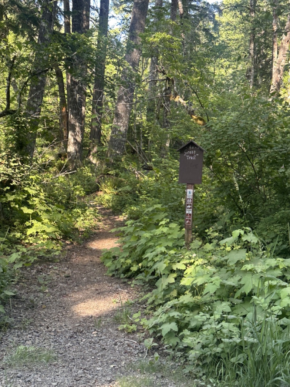 Whistle Punk Trailhead – Gifford Pinchot National Forest,&nbsp;Washington