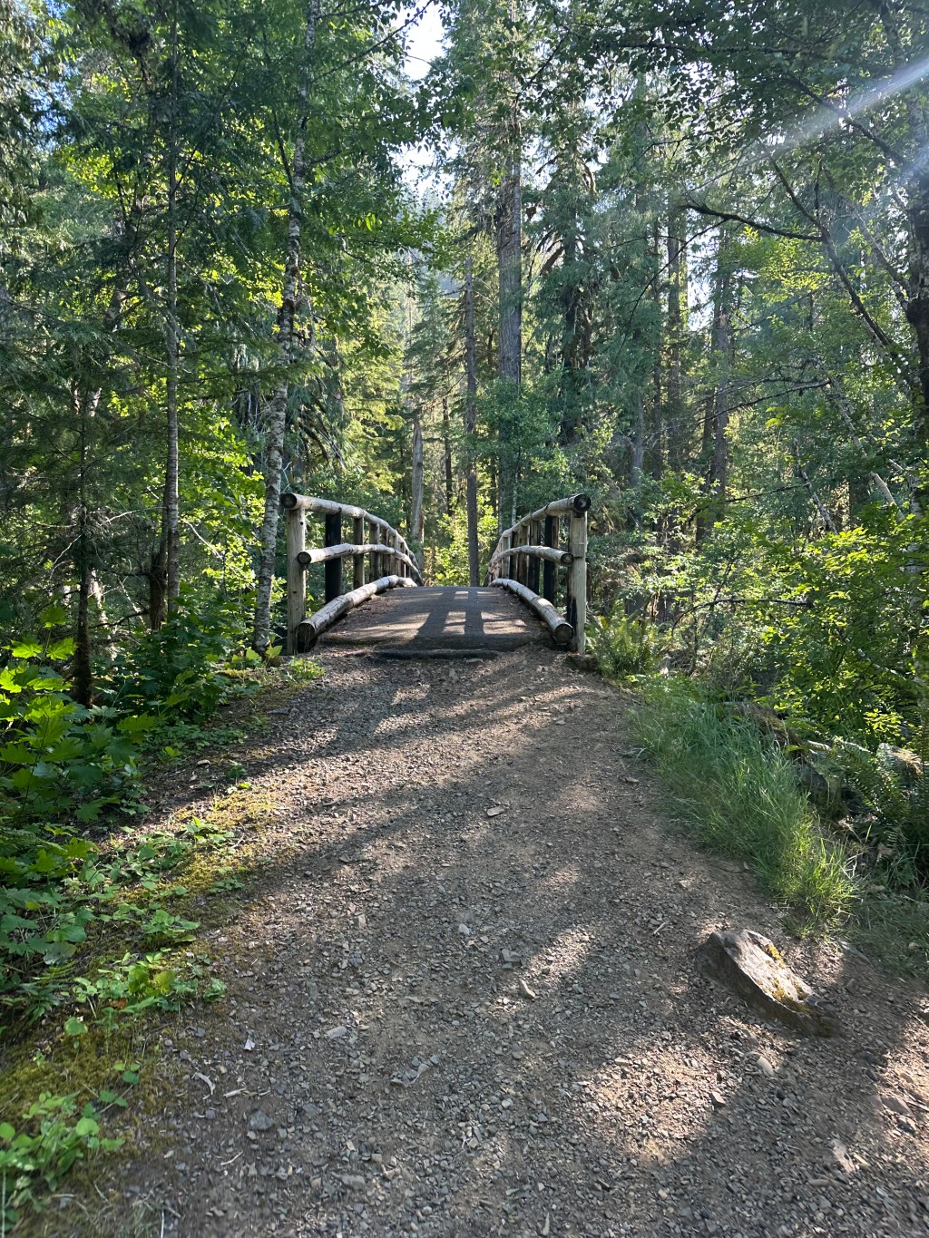 Trout Creek Trailhead – Gifford Pinchot National Forest,&nbsp;Washington