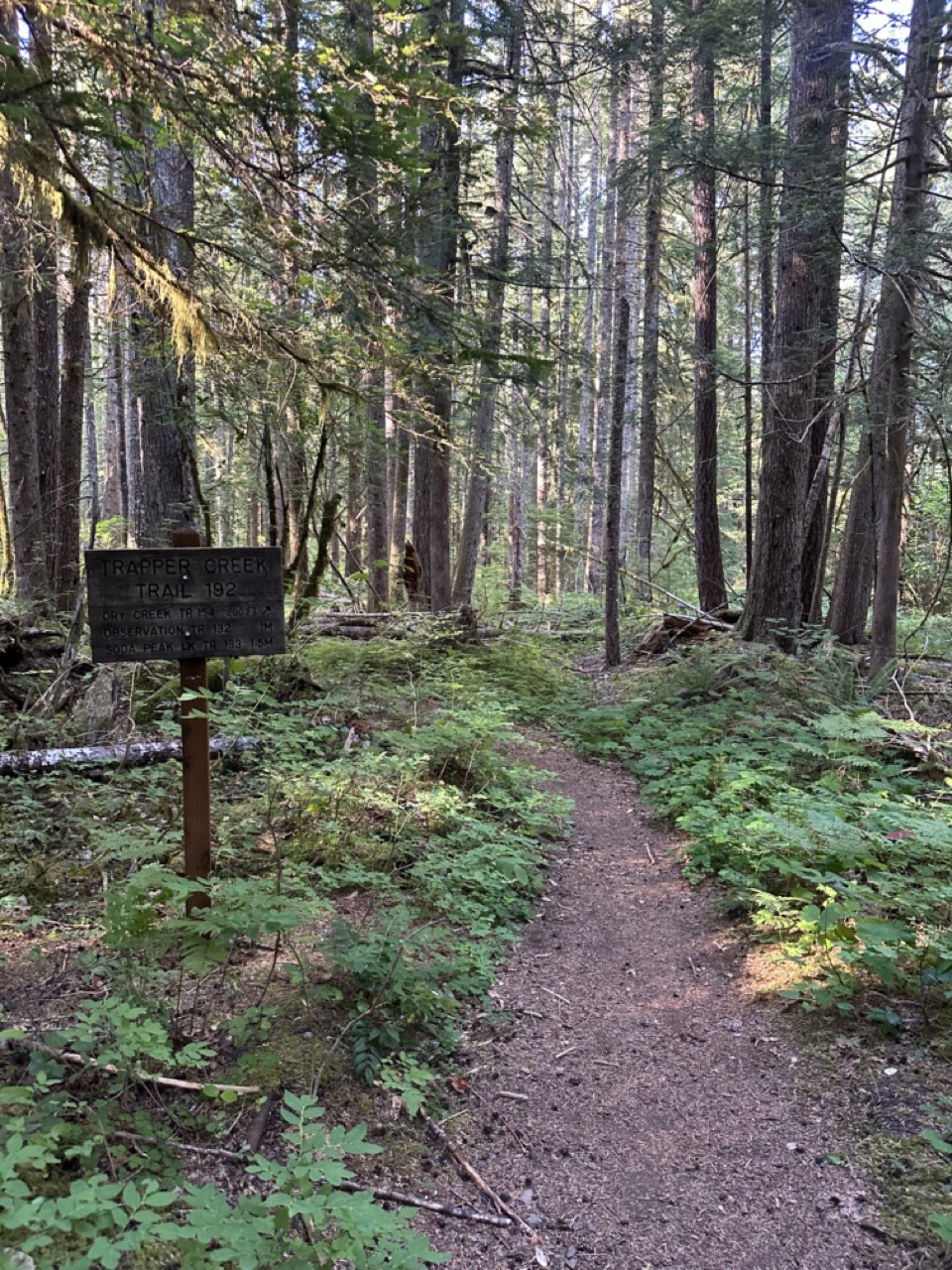 Trapper Creek Trailhead – Trapper Creek Wilderness,&nbsp;Washington