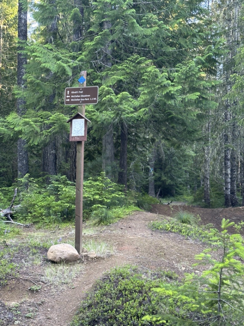 McClellan Meadows Lower Trailhead – Gifford Pinchot National Forest,&nbsp;Washington